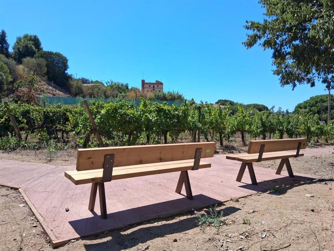 Nuevo itinerario al viñedo de Can Magarola