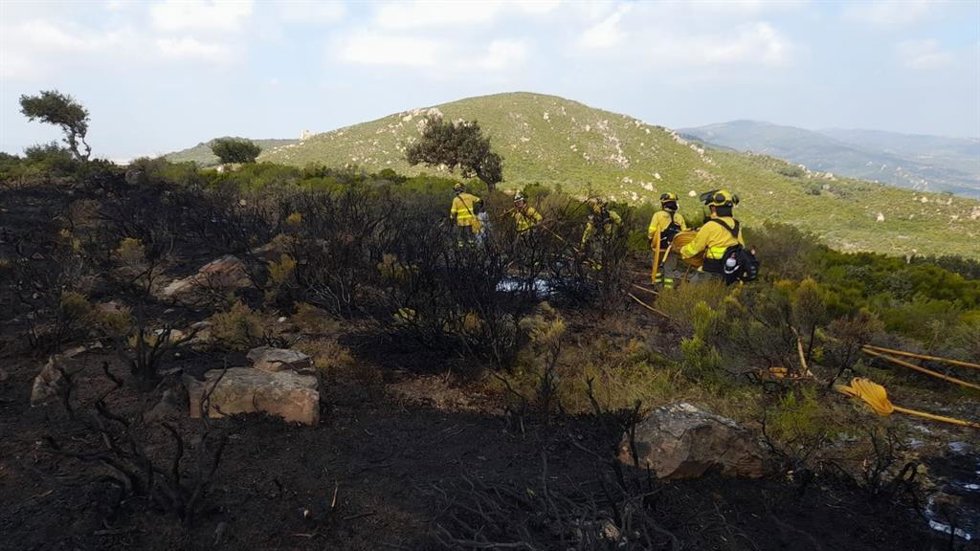 Efectivos del Infoca de la Agencia de Emergencias de Andalucía en el incendio de Tarifa (Cádiz)