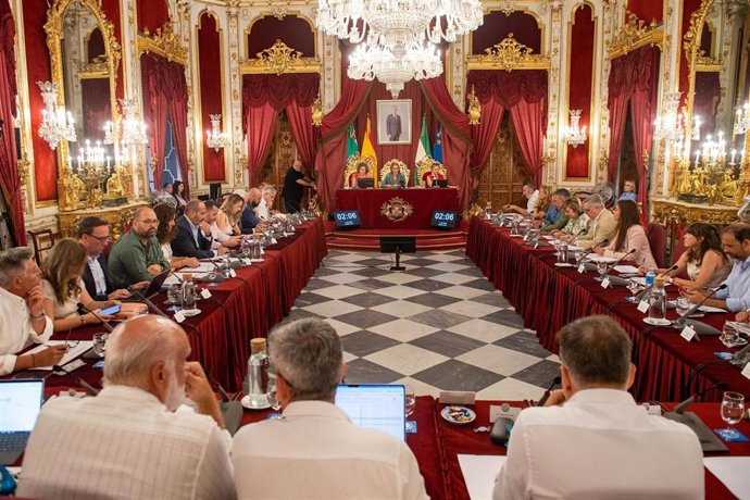 Pleno de la Diputación de Cádiz.