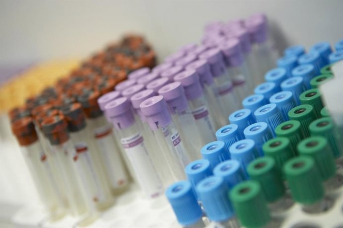 Archivo - Imagen de recurso de tubos para pruebas analíticas de sangre.