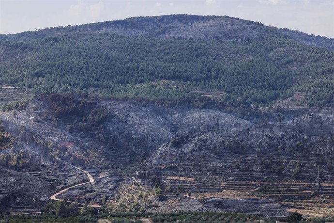 Terreno quemado por el incendio forestal, a 16 de septiembre de 2026, en Tuéjar, Valencia, Comunidad Valenciana (España). 