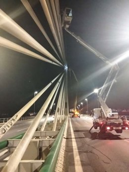 Personal técnico realizando labores de inspección y ensayos en los tirantes del Puente de Andalucía de Córdoba.