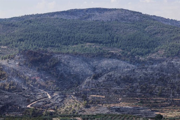 Terreny cremat per l'incendi forestal, a 16 de setembre del 2026, a Toixa, València, Comunitat Valenciana (Espanya). 