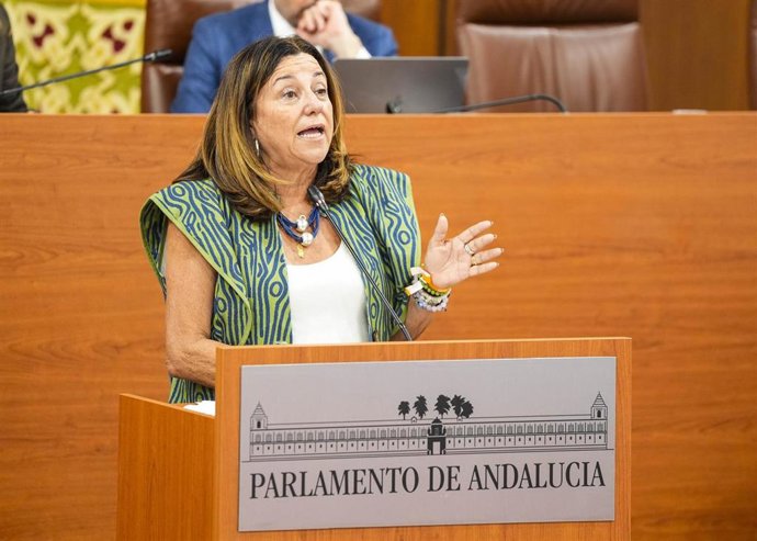 La consejera de Educación, María del Carmen Castillo, comparece en el Pleno del Parlamento andaluz.