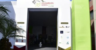 economia