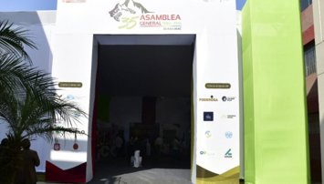 economia