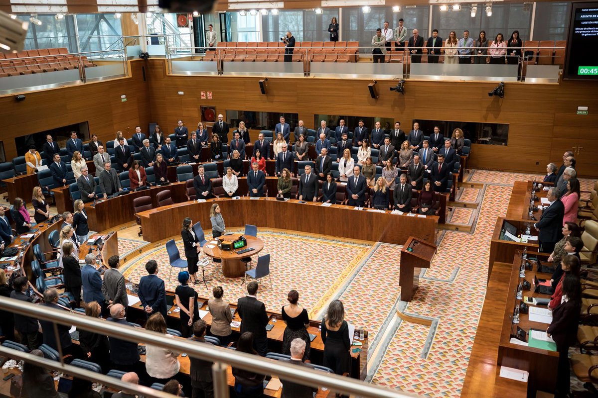 El portavoz de Ayuso comparece sobre el ático este jueves en el Pleno con la oposición reclamando la documentación