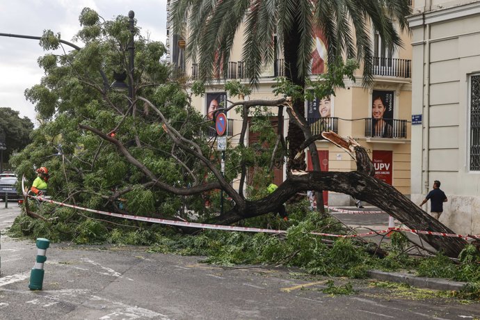 Efectos de la tormenta en València.