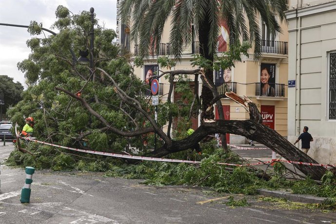 Efectes de la tempesta a València.
