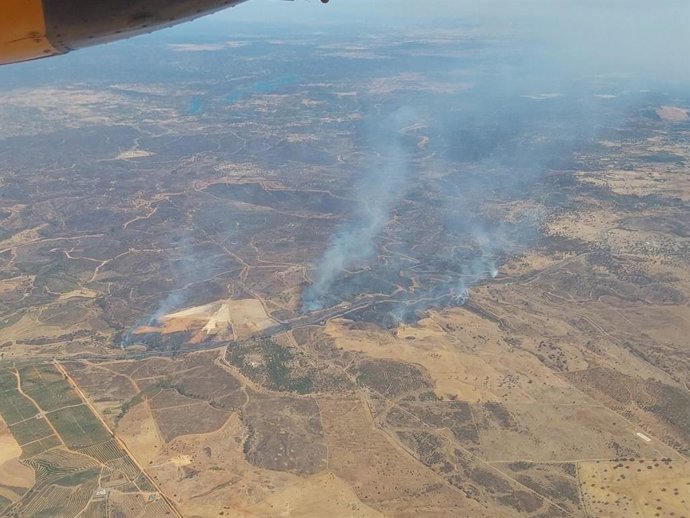Incendio forestal de Villanueva de los Castillejos (Huelva).