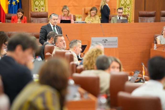 El consejero de Presidencia, Sanidad y Emergencias, Antonio Sanz, en el pleno del Parlamento. 17 de septiembre de 2026.