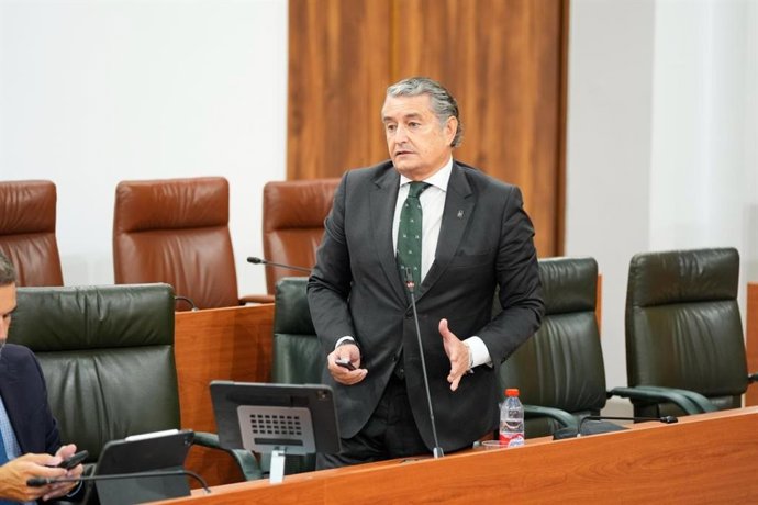 El vicepresidente primero de la Junta y consejero de Presidencia, Sanidad y Emergencias, Antonio Sanz.