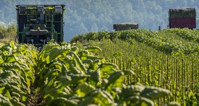EpAgro - Agricultura