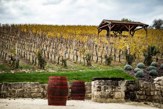 Hungría En Tiempos De Vendimia: Cinco Regiones Para Degustar Sus Mejores Vinos