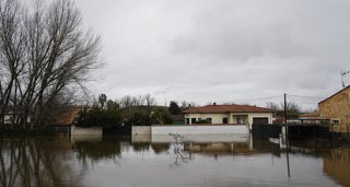Medio Ambiente