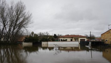 Medio Ambiente
