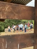 COMUNICADO: Las visitas a queserías se ponen de moda: turismo con mucho gusto