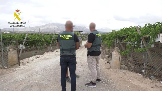 La Guàrdia Civil i la Policia Local de Montfort recuperen 480 quilos de raïm embutxacat i detenen a dos persones