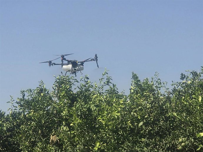 Dron. Foto de archivo.