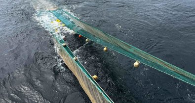 Pesca Galicia