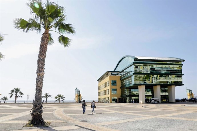 Archivo - Arxiu - Imatge d'arxiu de la Ciutat de la Llum d'Alacant