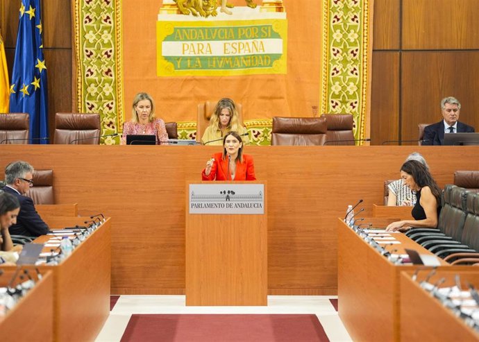 La diputada del PSOE-A Olga Manzano interviene en el Pleno del Parlamento andaluz.
