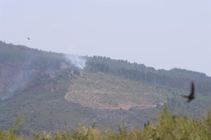 Archivo - Incendio forestal, a 24 de junio de 2026, en San Vicente de Arganza, León, Castilla y León (España). 
