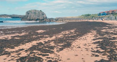 Cantabria