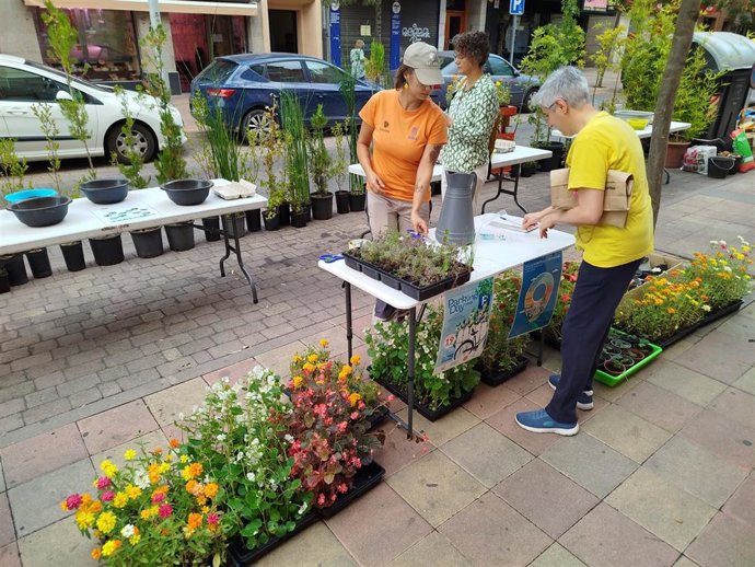 Imagen del Parking Day de Segovia.