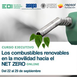 Curso ejecutivo EOI y REPSOL
