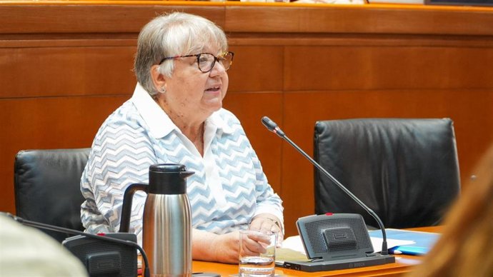 La directora general de Energía y Minas del Gobierno de Aragón, Yolanda Vallés