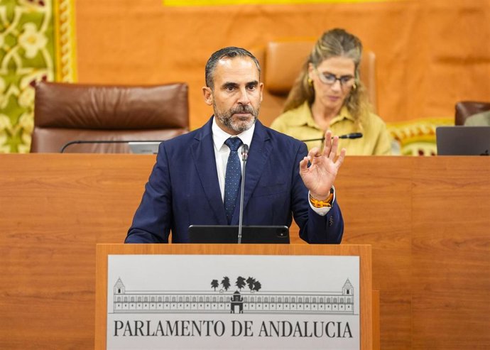 El diputado del PSOE-A Daniel Pérez interviene en el Pleno del Parlamento andaluz.