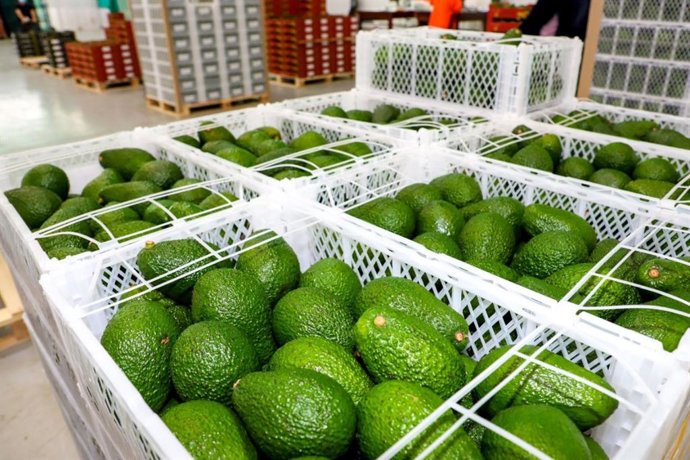 Archivo - Perú.- Puerto de Chancay: estas son las mercancías de exportación con mayor movimiento