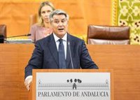 El Parlamento apoya la petición de reactivar la unidad OCON-Sur contra el narcotráfico con los votos de PP y Vox