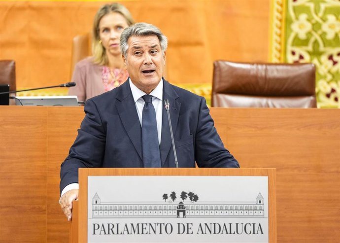 El secretario tercero del Parlamento de Andalucía y diputado del PP-A, José Ignacio Romaní, interviene en el Pleno de la Cámara andaluza.
