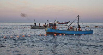 Pesca Galicia