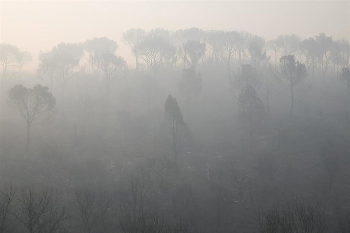 Archivo - Vista del humo del incendio forestal, a 27 de julio de 2026, en Navas del Rey, Madrid (España). Los incendios forestales que afectan a la Comunidad de Madrid han reducido su avance durante la noche, una evolución que ha permitido a los medios de
