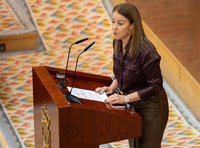 Archivo - La diputada de VOX en la Asamblea de Madrid, Ana María Cuartero, interviene durante un pleno en la Asamblea de Madrid, a 19 de diciembre de 2024, en Madrid (España). 