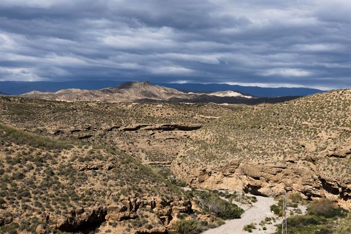 Archivo - Arquivo - Imagem incomum do deserto de Tabernas, em Almería, mostrando o início antecipado da floração da primavera graças às chuvas abundantes recebidas. Em 9 de março de 2026, em Tabernas, Almería (Andaluzia, Espanha). As chuvas recebidas dura