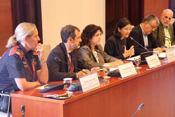 Parlon en la Comisión de Interior junto con Catà y López
