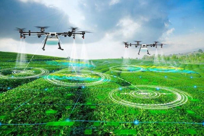 Archivo - Las sesiones propuestas por la Oficina Acelera Pyme de Asaja Granada en el marco de la Semana de la IA están dedicadas a la tecnología y digitalización agraria.