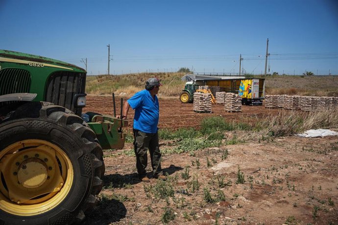 Archivo - Un agricultor en el campo.