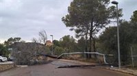El Govern atiende 61 incidentes por las lluvias desde este miércoles y pide prudencia en Mallorca y Pitiusas