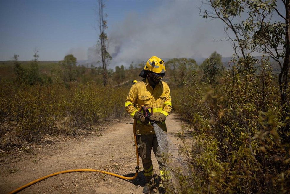 Archivo - Efectivos del Infoca combaten un incendio forestal. Imagen de archivo. 