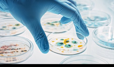 Investigación