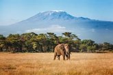 Foto: Latinoamérica.- British Airways aumenta un 25% su capacidad en Latinoamérica e inaugura vuelos a Tanzania para verano de 2027