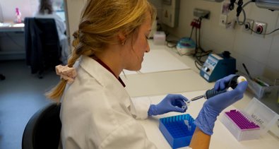 Investigación