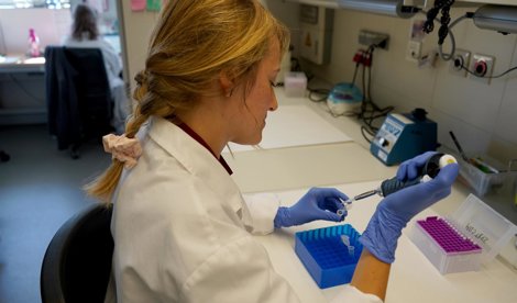 Investigación