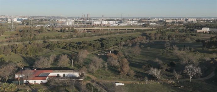 Imagen aérea de los terrenos situados junto al Cortijo de Quarto, en foto de recurso