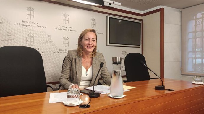 Archivo - La portavoz de IU-Convocatoria por Asturias, Delia Campomanes en rueda de prensa.
